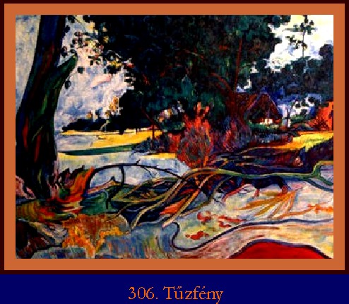 306. T�zf�ny
